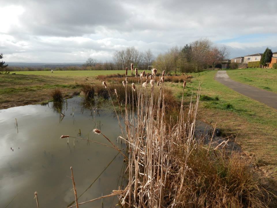 Photograph of Dale Road ponds