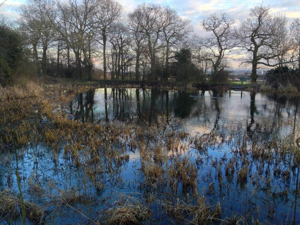 Photograph of West Park Meadows pond