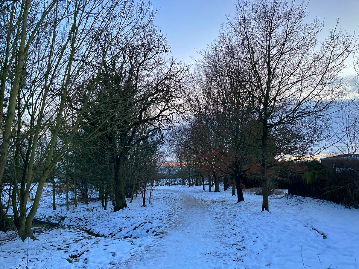 Photograph of A snowy path through the trees at Dale Road Park