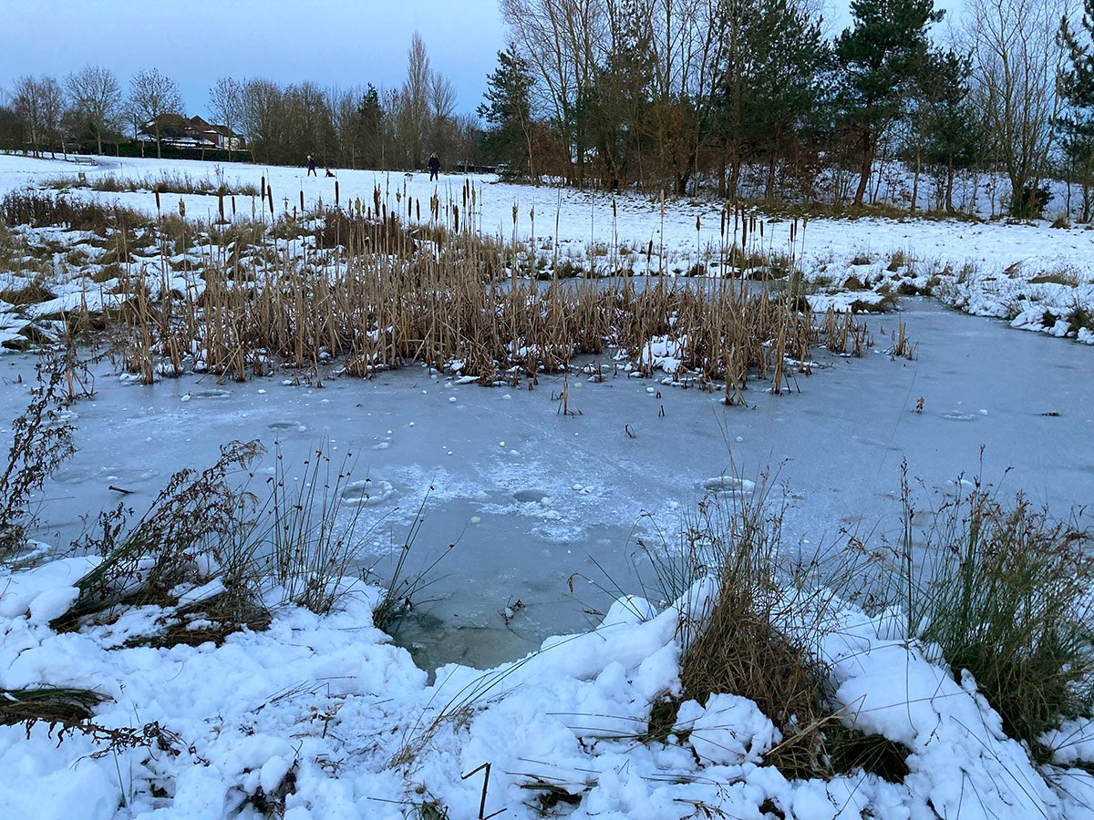 Photograph of Dale Road Pond frozen up in the snow
