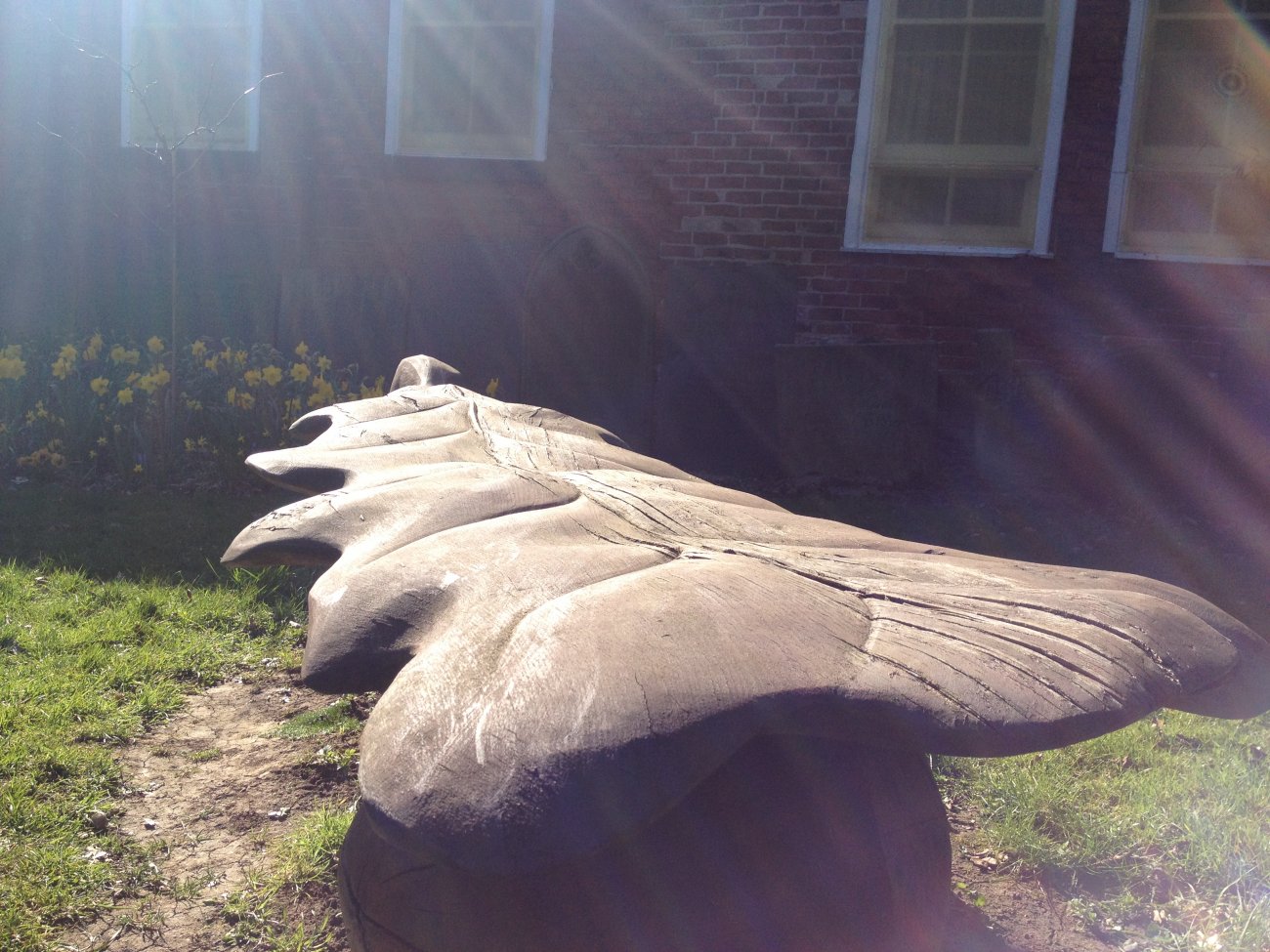 Photograph of Sensory Garden bench