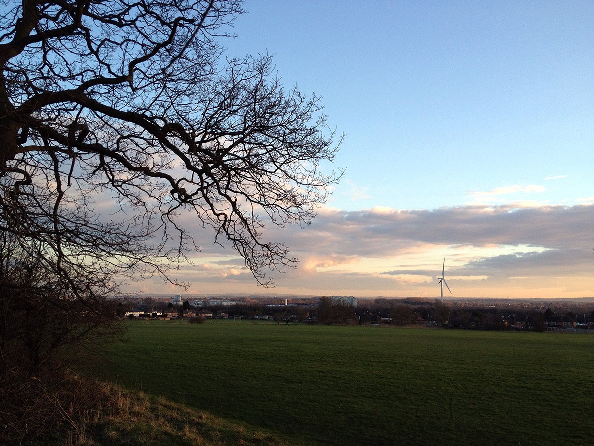 Photograph of View across West Park fields at dusk